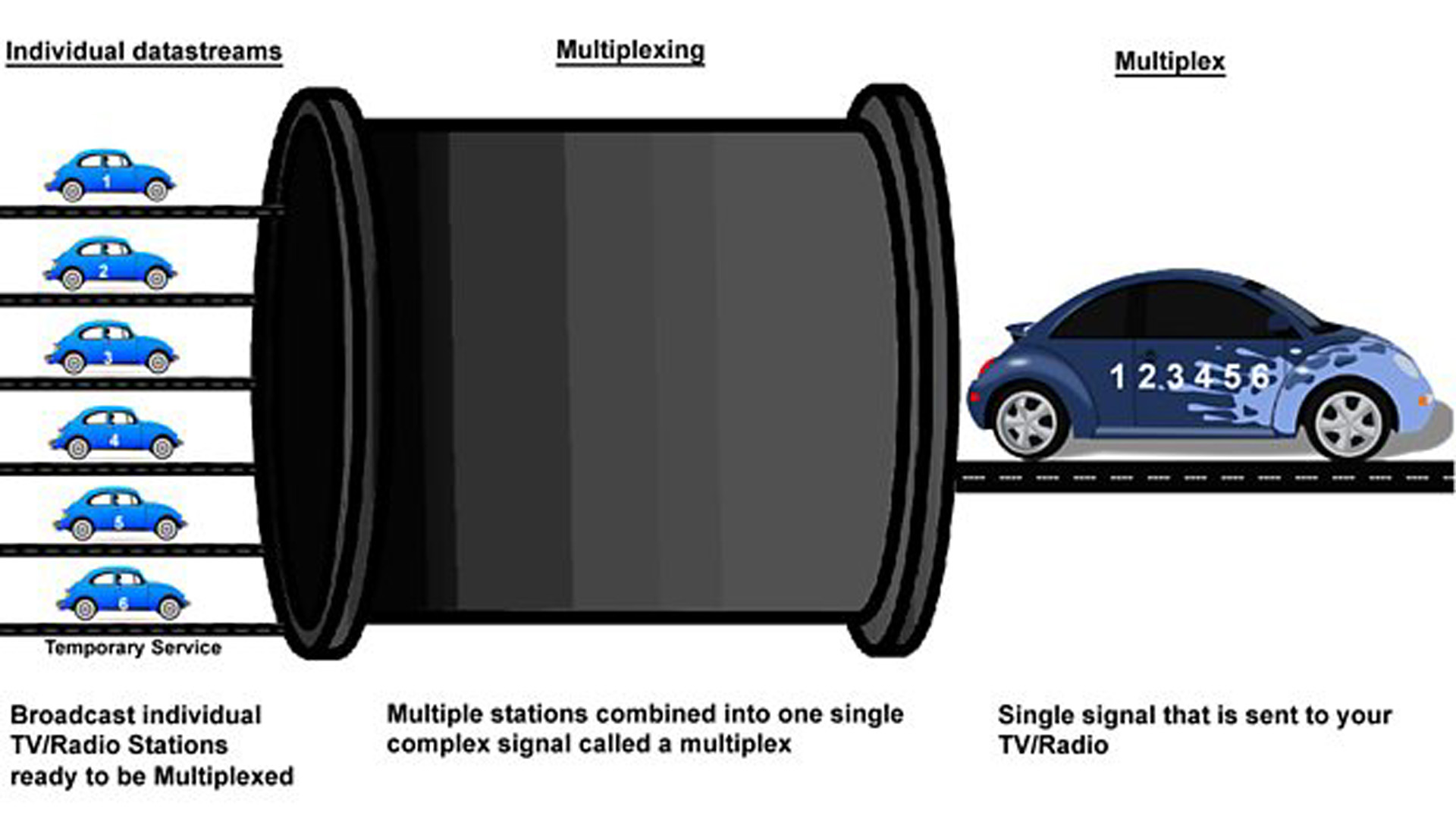 Diagram showing the concept of a multiplex